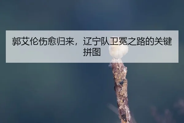 guo-ai-lun-shang-yu-gui-lai-liao-ning-dui-wei-mian-zhi-lu-de-guan-jian-pin-tu-2-460.jpg