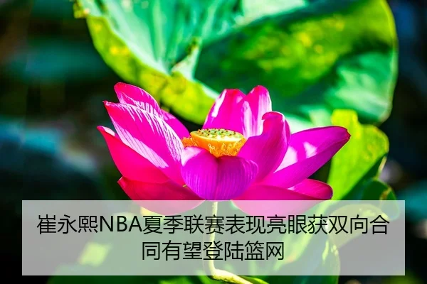 崔永熙NBA夏季联赛表现亮眼获双向合同有望登陆篮网