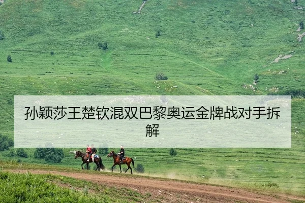 孙颖莎王楚钦混双巴黎奥运金牌战对手拆解
