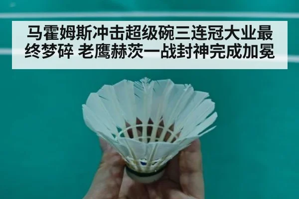 马霍姆斯冲击超级碗三连冠大业最终梦碎 老鹰赫茨一战封神完成加冕
