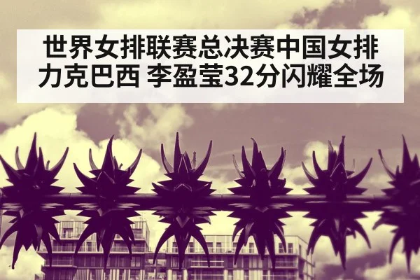 世界女排联赛总决赛中国女排力克巴西 李盈莹32分闪耀全场